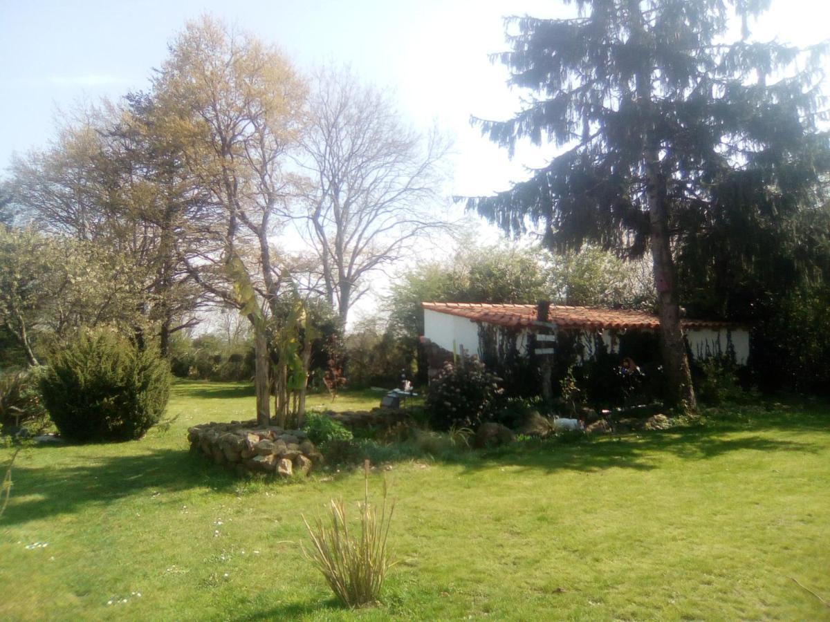 Mas Des Vignes Piscine Chauffée